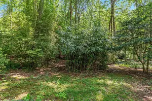 13209 Johnny Moore Ln, Clifton, VA 20124 - Photo 56