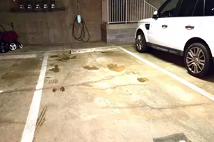 1641 International Dr, McLean, VA 22102 - Photo 6