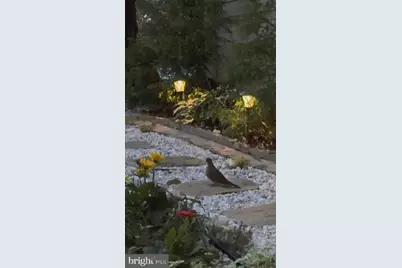 5724 Harrier Drive, Clifton, VA 20124 - Photo 50