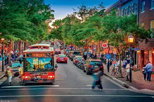 4302 Adrienne Dr, Alexandria, VA 22309 - Photo 64