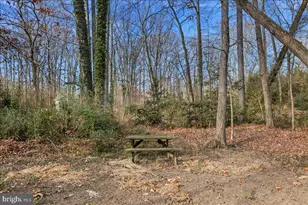 4302 Adrienne Dr, Alexandria, VA 22309 - Photo 54