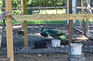 10439 Ashcake Rd, Ashland, VA 23005 - Photo 24