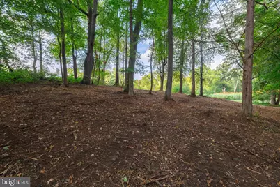 16304 Pleasant Mill Road, Montpelier, VA 23192 - Photo 18