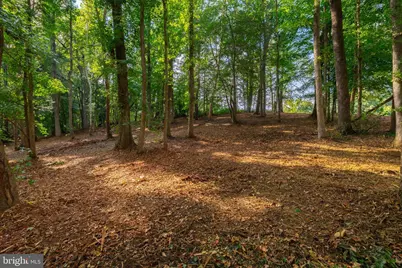 16304 Pleasant Mill Road, Montpelier, VA 23192 - Photo 16