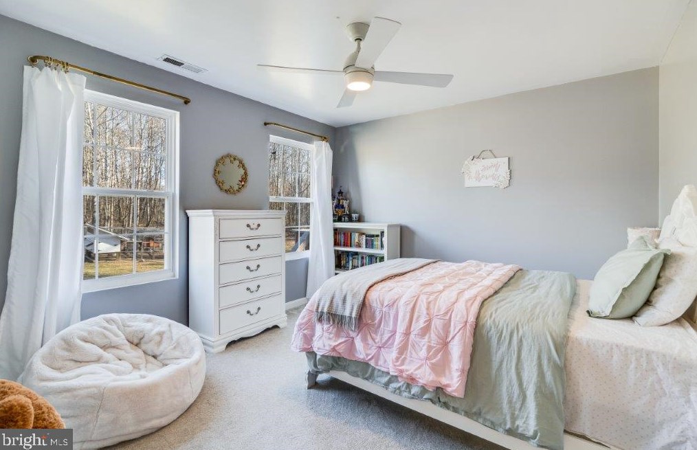 12115 Mitcheltree Ln, Owens VA  22485-4326 exterior