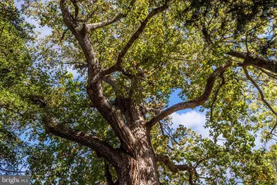 8518 Tompkins Drive, King George, VA 22485 - Photo 60