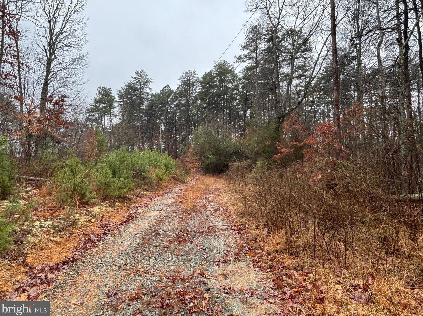 177 Paradise Ln, Gordonsville, VA 22942