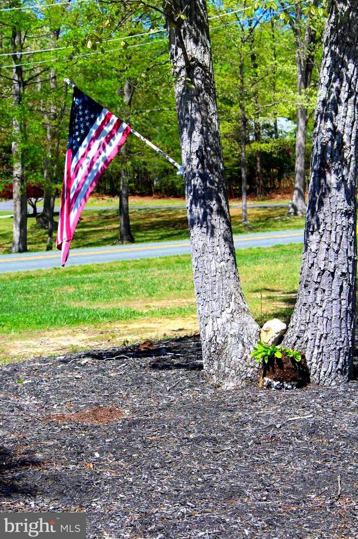 343 Forest Hill Rd, Gordonsville VA  22942-7324 exterior