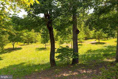 Peach Grove Road, Louisa, VA 23093 - Photo 2