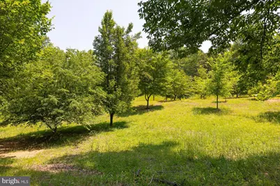 Peach Grove Road, Louisa, VA 23093 - Photo 4