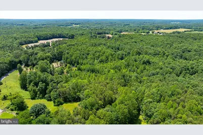 Peach Grove Road, Louisa, VA 23093 - Photo 16