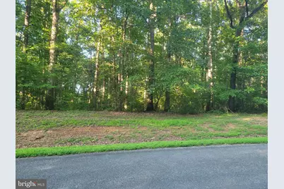 Harness, Louisa, VA 23093 - Photo 2