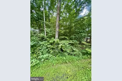 Lot 385 & 957 N Lakeshore Drive, Louisa, VA 23093 - Photo 2