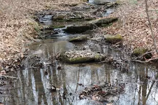 1185 Belle Meade Rd, Bumpass, VA 23024 - Photo 94