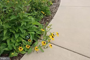 1185 Belle Meade Rd, Bumpass, VA 23024 - Photo 116