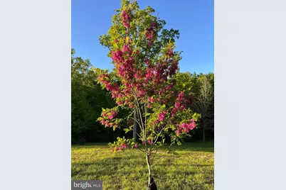 1185 Belle Meade Rd, Bumpass, VA 23024 - Photo 88