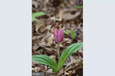 1185 Belle Meade Rd, Bumpass, VA 23024 - Photo 104