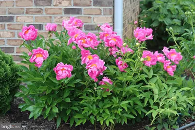 1185 Belle Meade Rd, Bumpass, VA 23024 - Photo 106