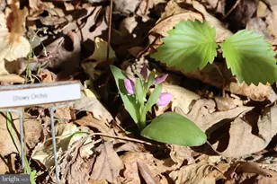 1185 Belle Meade Rd, Bumpass, VA 23024 - Photo 100