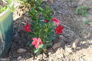 1185 Belle Meade Rd, Bumpass, VA 23024 - Photo 110