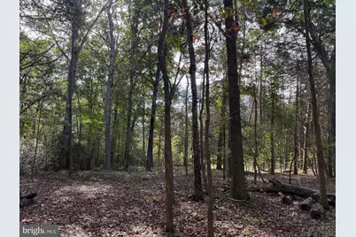 Lot 28 Turkey Trail, Mineral, VA 23117 - Photo 4