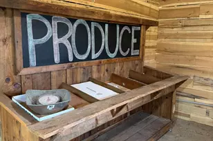 284 Boulder Springs Ln, Louisa, VA 23093 - Photo 12