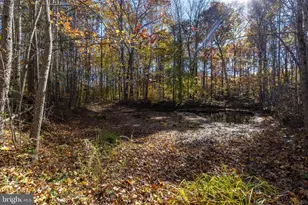 600 Signboard Rd, Bumpass, VA 23024 - Photo 42