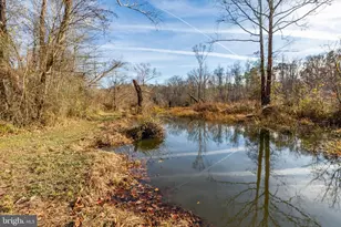 81 Leyland Farms Dr, Bumpass, VA 23024 - Photo 28
