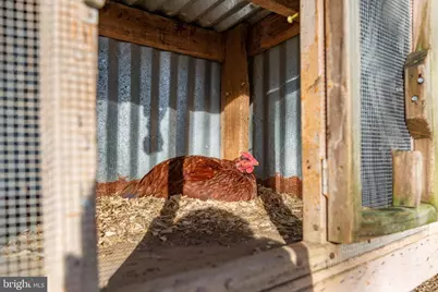 81 Leyland Farms Drive, Bumpass, VA 23024 - Photo 44