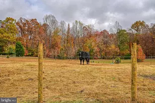 464 Belsches Rd, Bumpass, VA 23024 - Photo 26