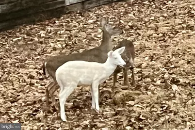 323 Turkey Trail, Mineral, VA 23117 - Photo 80