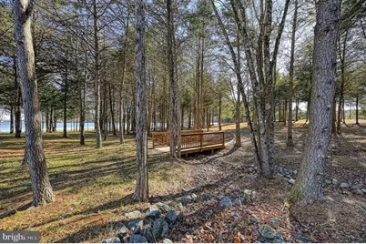 2642 Peach Grove Road, Louisa, VA 23093 - Photo 66