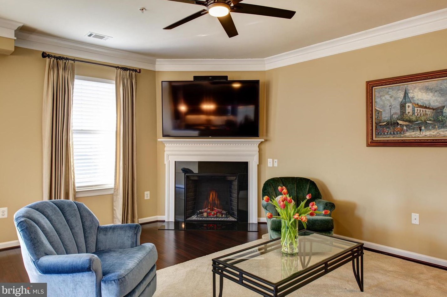 20580 Hope Spring Ter, Ashburn, VA 20147-2922