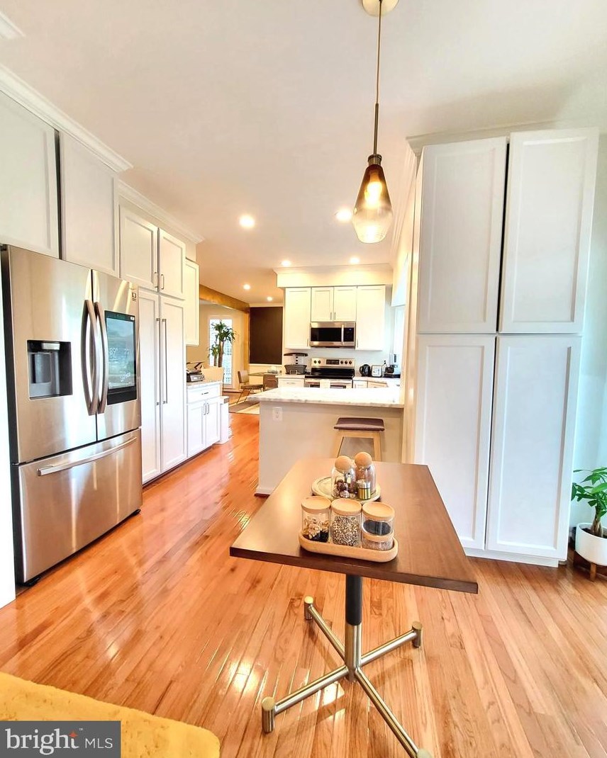 20238 Birdsnest Pl, Ashburn VA  20147-3318 exterior