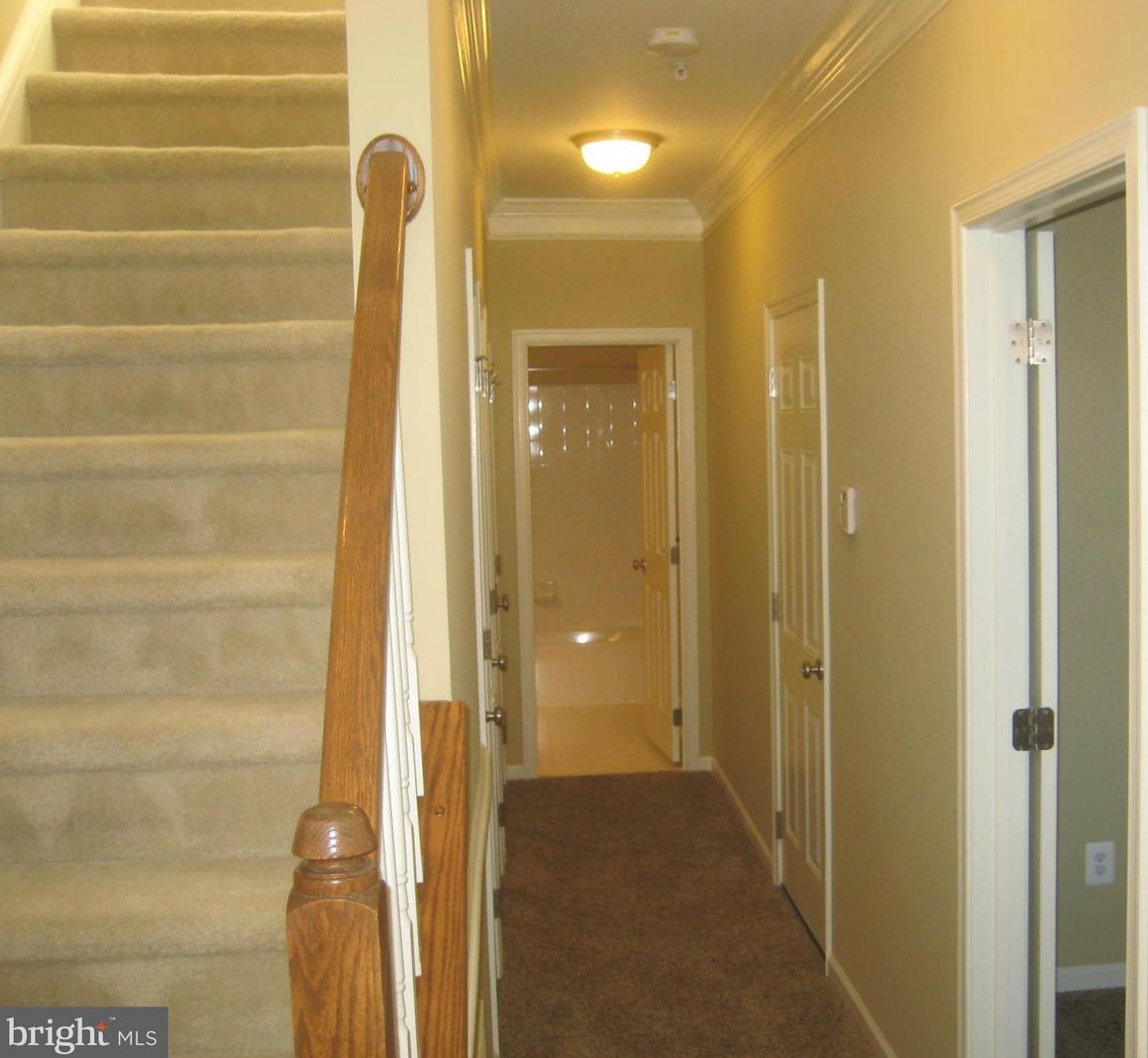 25099 Francisco Ter, Fairfax, VA 20152