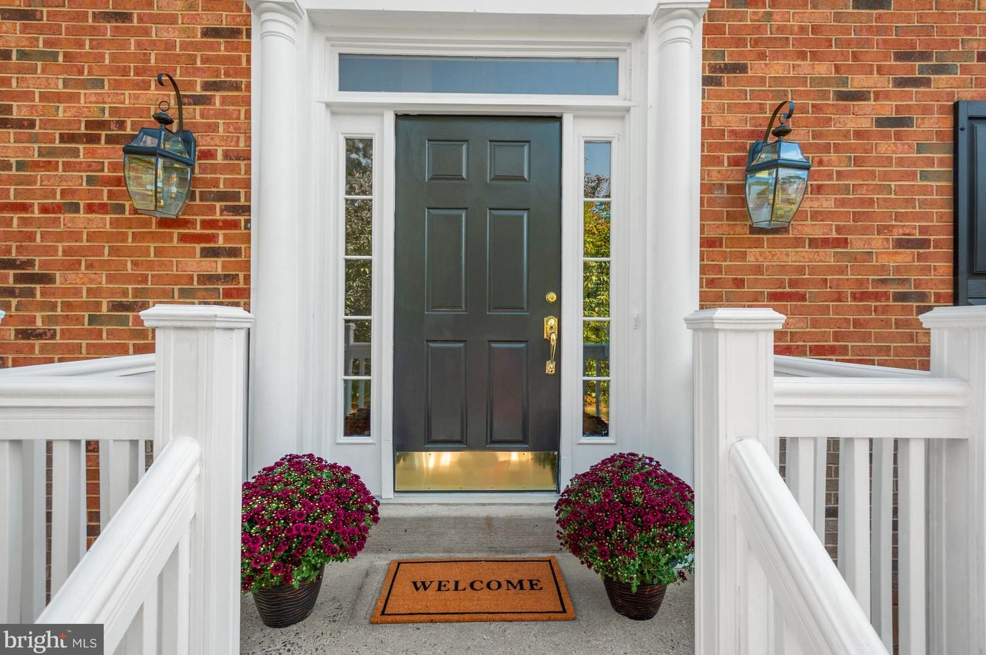 20628 Cutwater Pl, Dulles, VA 20165-7339