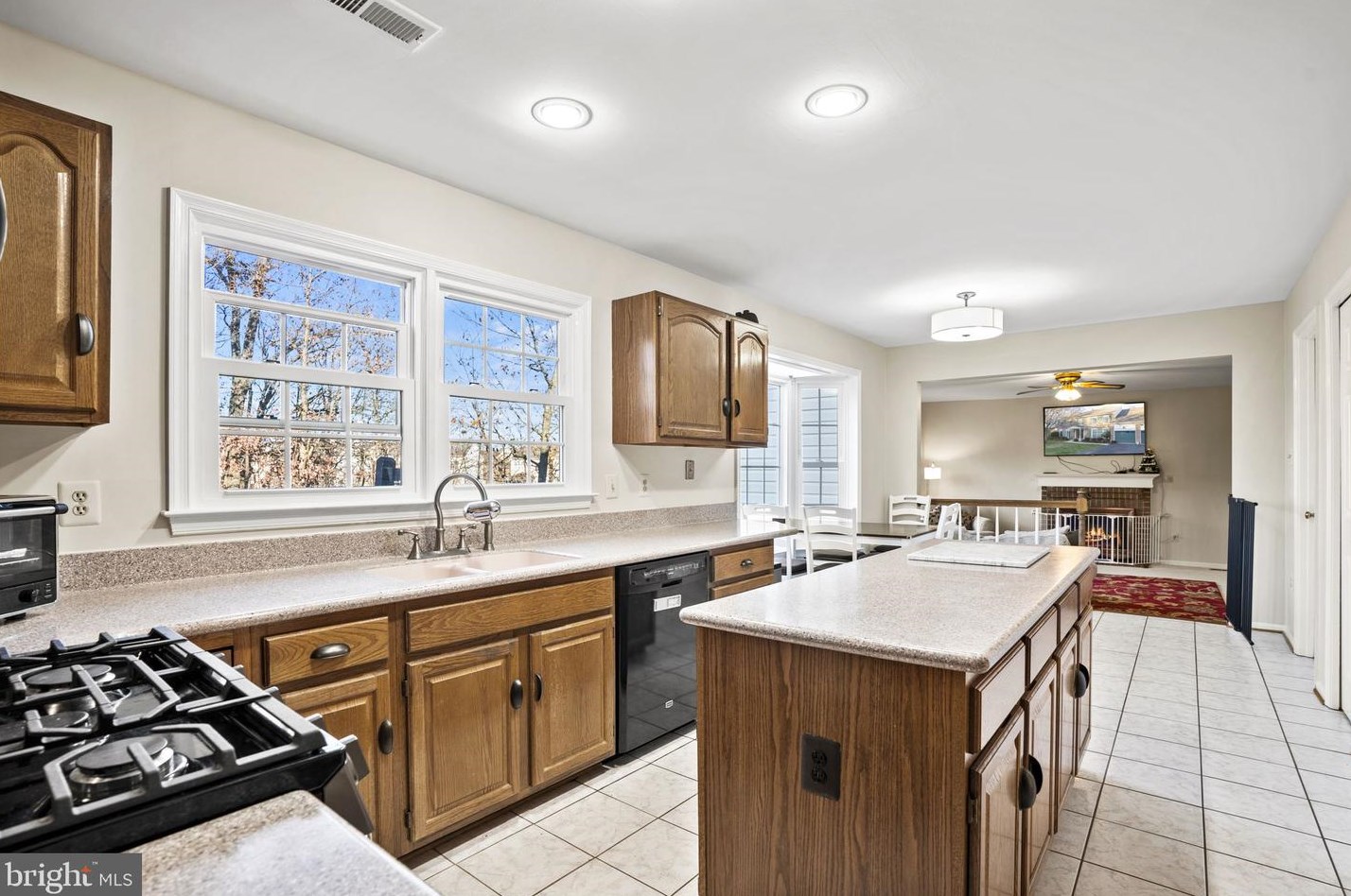 20226 Catlett Pl, Ashburn VA  20147-3303 exterior