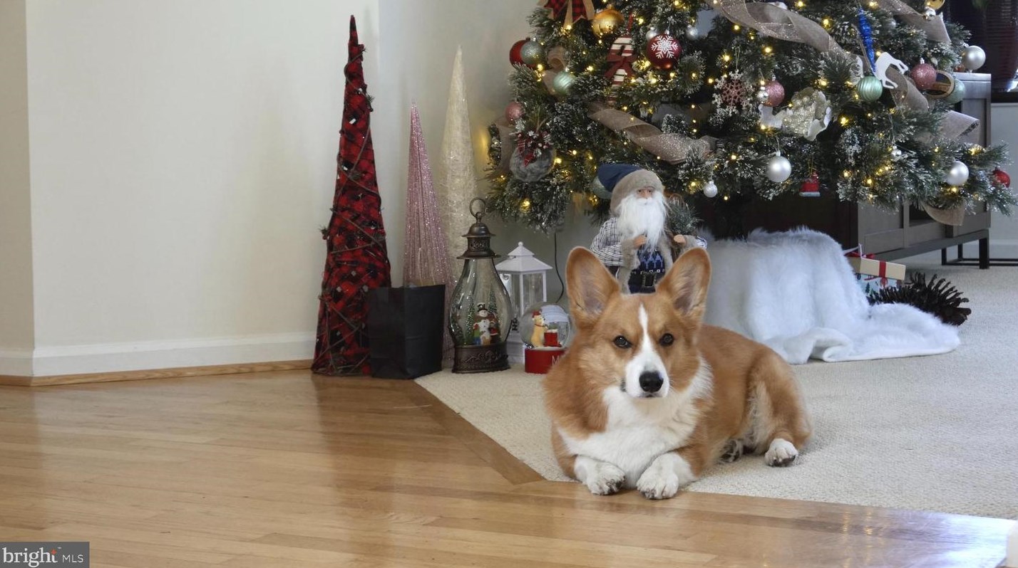 47074 Garrett Pl, Dulles VA  20165-7522 exterior