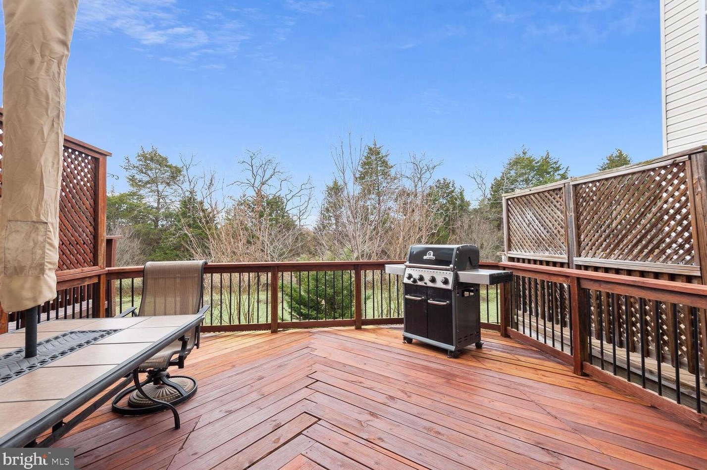 42037 Bushclover Ter, Stone Ridge VA  20105-5633 exterior