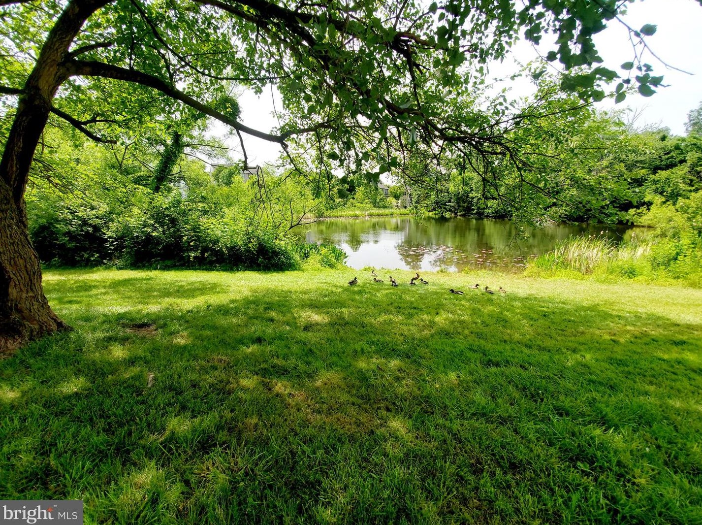 21740 Kings Crossing Ter, Ashburn VA  20147-4515 exterior