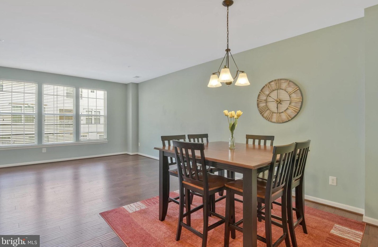 25898 Racing Sun Dr, Stone Ridge VA  20105 exterior