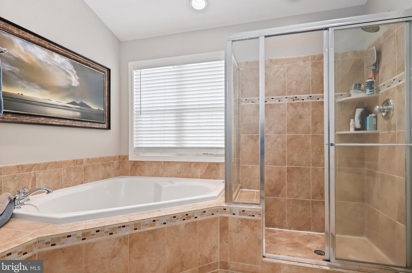 25546 Oak Medley Ter, Stone Ridge VA  20105-2665 exterior