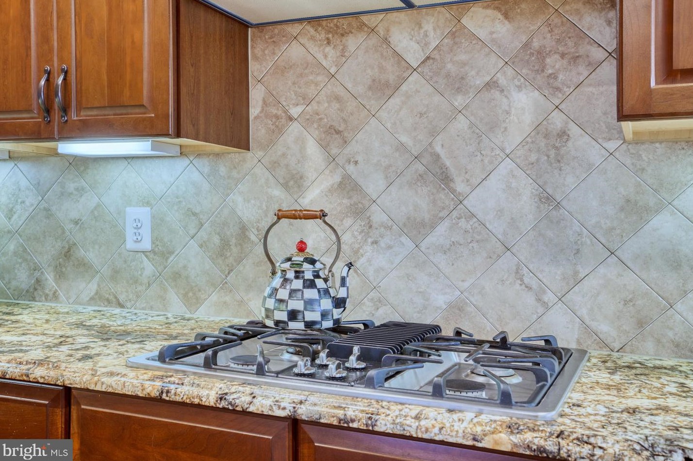 25190 Fortitude Ter, Fairfax VA  20152-6052 exterior