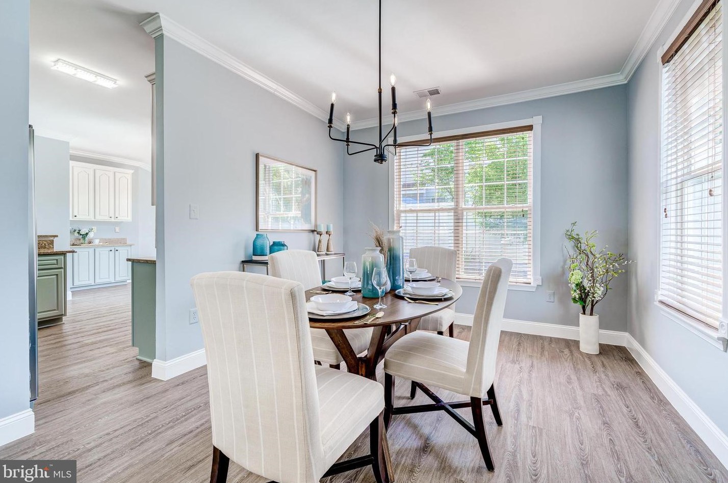 43287 Rush Run Ter, Ashburn VA  20147-3747 exterior