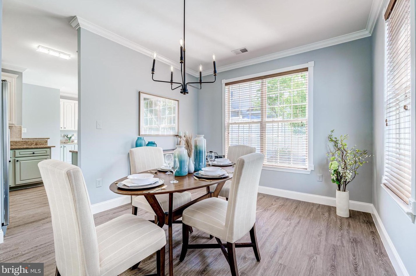 43287 Rush Run Ter, Ashburn VA  20147-3747 exterior