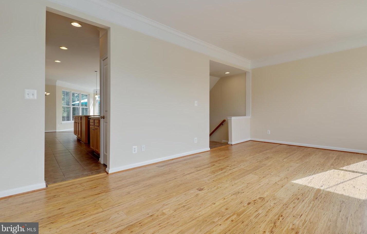 42494 Regal Wood Dr, Ashburn VA  20148-5626 exterior