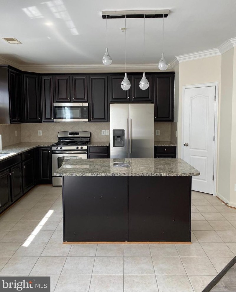 42243 Water Iris Terrace, Stone Ridge, VA 20105