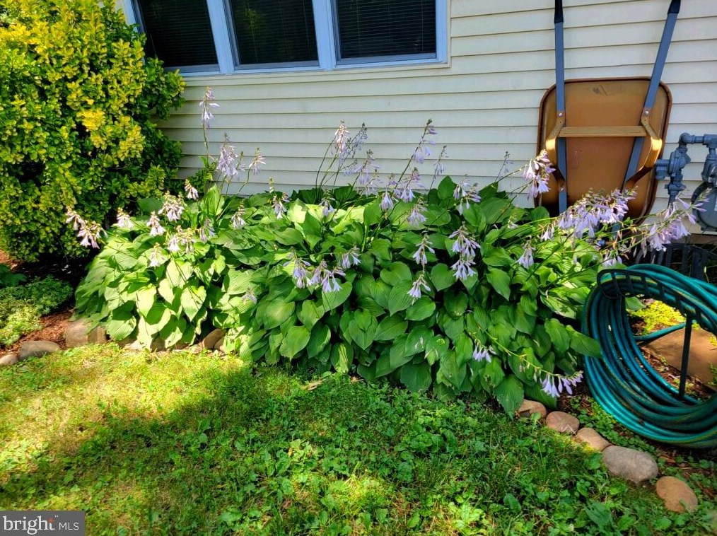 212 Penny Ln, Dulles VA  20164-1606 exterior