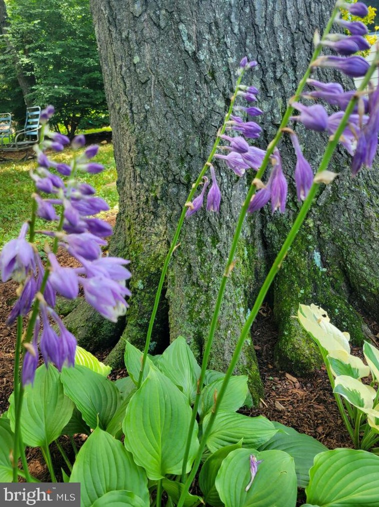 212 Penny Ln, Dulles VA  20164-1606 exterior