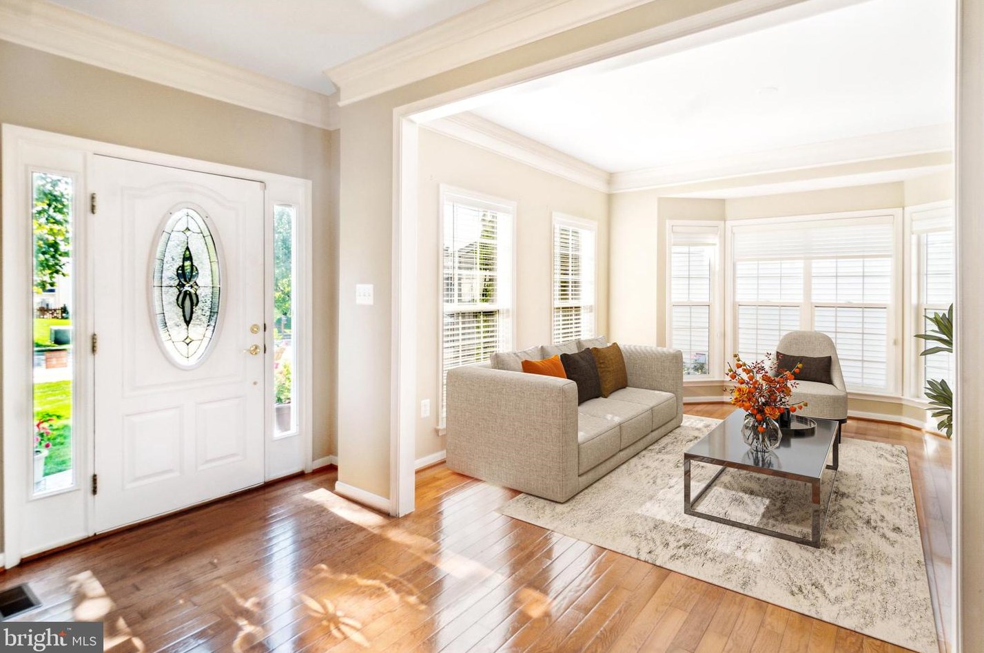 44320 Crow Ct, Ashburn, VA 20147-5046